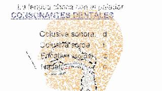 Fonética y Fonología del español El aparato fonador Diferencia entre sonido y signo [upl. by Douty]