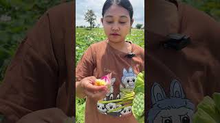 Eating lotus flower food epiceating savoreverybite starfruit mukbang epiceats [upl. by Coffeng]