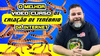 O MELHOR VÍDEO CURSO DE CRIAÇÃO DE TENÉBRIO DA INTERNET [upl. by Myrtia]