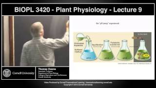 BIOPL3420  Plant Physiology  Lecture 9 [upl. by Onfre]