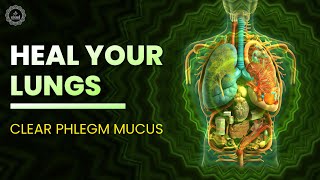 Heal Your Lungs  Clear Phlegm Mucus Get Rid Of Sputum Cold And Flu  741 hz Detoxification Music [upl. by Lraed462]