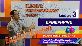 Autonomic Pharmacology En  Lec 03  Epinephrine [upl. by Dunning]