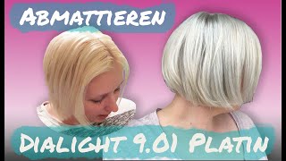 Abmattierung mit Dialight 901 Milkshake Platin  Gelbstich entfernen  Platin Blond [upl. by Yelnats416]