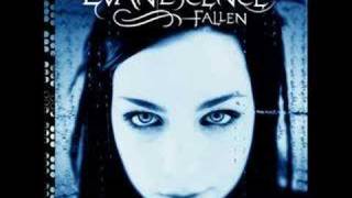 EvanescenceBring Me To Lifewith lyrics [upl. by Schecter]