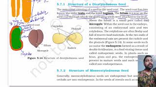 Morphology of flowering plants part 6  The Fruit  The Seed  Chapter 5 class 11 Biology NCERT [upl. by Blackmore108]