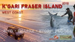 Fraser Island  Why not to Swimm in the Ocean at Kgari  EP 1  ALLOFFROAD157 [upl. by Etiuqal]