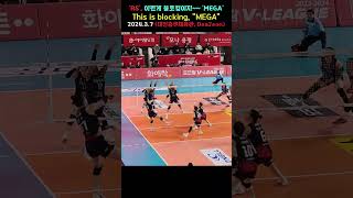 이게 블로킹이여 메가 This is blocking MEGA 202437 여자배구 volleyball 정관장 mega megawati megatron [upl. by Olympias]