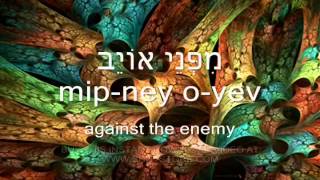 Messianic worship song Psalm 61 Shimah Elohim Christene Jackman in Biblical Hebrew subtitles [upl. by Evaleen]