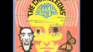 The Chameleons UK  Second Skin John Peel Sessions [upl. by Notgnirrab]