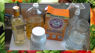 Homemade fungicide  Free fungicide for plants  how to make fungicide at home [upl. by Amias]