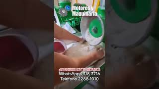 MOLINO 2 TOLVAS PARA MASA DE TORTILLAS 🇸🇻🫓 emprendimiento maiz [upl. by Barrett]