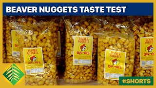 BucEes Beaver Nuggets Taste Test Shorts [upl. by Xylia]