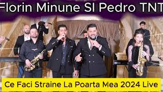 Florin Minune Si Pedro TNT  Am Venit Frate La Tine ⛔ 2024 Ce Faci Straine La Poarta Mea ⛔ [upl. by Blader]