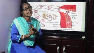 Lecture on Uterine Cycle [upl. by Eislrahc]