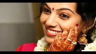 HINDU WEDDING HIGHLIGHT MEERA  JAY [upl. by Annoda]