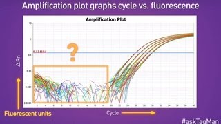 Baselines in RealTime PCR  Ask TaqMan® Ep 5 [upl. by Armillas]