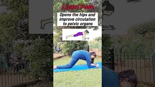 Tips to balance for your Hormonal hormonalimbalance womenhealth exercise youtubeshorts [upl. by Eilahs272]