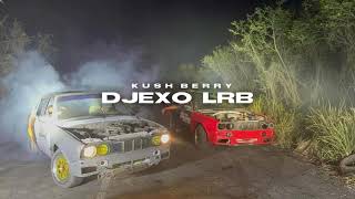 Djexo Lrb ✘ Niska Ft Shay  Sans cœur  REMIX REGGAE Z0Z3 [upl. by Crowley]