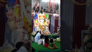 Ganesh pooja  Youtube shorts  Saiteja Dhanush [upl. by Yblok]