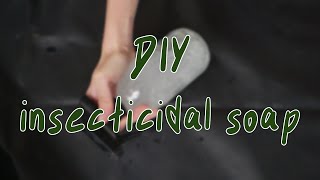 HOW TO MAKE INSECTICIDAL SOAP  houseplant pest control diy [upl. by Iba317]