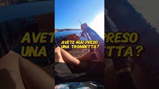 Avete mai preso una trombetta🎺🐟spinningfishing fishing pescainmare [upl. by Nevag]