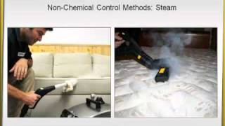 How to Control Bed Bugs [upl. by Garret935]