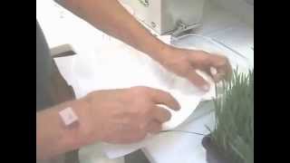 Making wheatgrass juice on a Norwalk juicer Short version [upl. by Nissie]