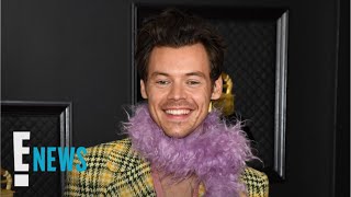 Harry Styles REVEALS quotWatermelon Sugarsquot NSFW Meaning  E News [upl. by Itnahs]