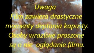 Kapusta kiszona jak zrobić na obiad [upl. by Aihsem]