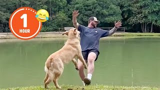 FUNNIEST Pets of 2024 😂  BEST Compilation [upl. by Orbadiah]