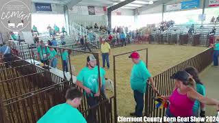 Clermont County Born and Raised Goat Show [upl. by Eneri176]