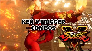 Street Fighter V Ken VTrigger Combos Beta 3 [upl. by Cnut451]