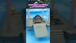 COSTRUISCO una PISCINA per TARTARUGHE🏝️🐢🤩 tartarughe turtle dog cane piscina [upl. by Weld280]