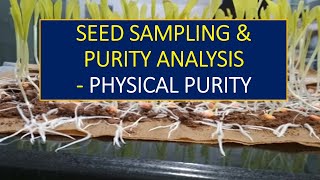 Seed Testing Seed Sampling amp Seed Purity Analysis [upl. by Aikram]