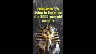 Listen to the voice of a 3000 year old mummy shorts [upl. by Jonette]