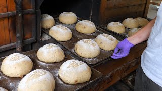 Various Bread Making in Taiwan  Berry Bread Red Bean Bread Cheese Bread 洛神桑葚莓果 紅豆吐司 蘿勒脆皮起司 [upl. by Deevan]