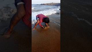 Catching Mole Crabs with Empty Hand fishing fishingvideos thoondilulagam seafishing [upl. by Gayla]