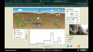 screencast assignment [upl. by Liris]