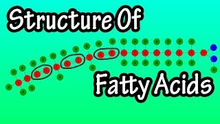 Fatty Acids  What Are Fatty Acids  Structure Of Fatty Acids  Types Of Fatty Acids [upl. by Jacki]