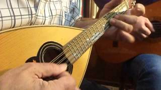 Tarantella Napoletana  Italian Mandolin music by Antonio Calsolaro [upl. by Laurita]