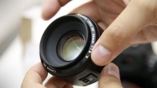 Canon EF 50mm f18 lens review with samples Fullframe and APSC [upl. by Anawik]