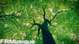 432 hz fréquence du bonheur  guérison du stress et lanxiété endorphine et sérotonine [upl. by Tchao181]