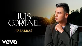 Luis Coronel  Palabras Audio [upl. by Nnylannej]