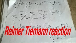 Reimer tiemann reaction mechanism heterocyclic [upl. by Asiram]