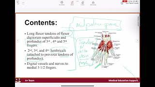 Fascial spaces of the hand [upl. by Compte518]