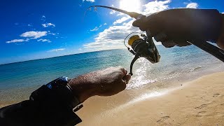 Shore CASTING at WOLMAR BEACH FLIC EN FLAC MAURITIUS [upl. by Chi]