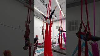 Aerial silks Red  aerialsilks silks aerial silkslove drops stunt acrobatics dance love [upl. by Dominy]