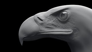 Eagle 3ds max modeling Tımelapse  3DS max Моделирование орла [upl. by Ityak]