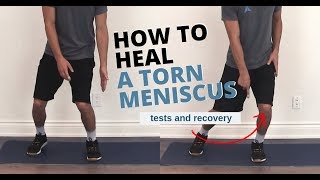 Knee Meniscus Tear Tests and Exercises for Full Recovery [upl. by Lodnar562]