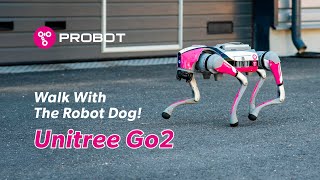 Take A Walk With The Robot Dog [upl. by Jacob]